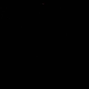 Meet your Posher, Avi